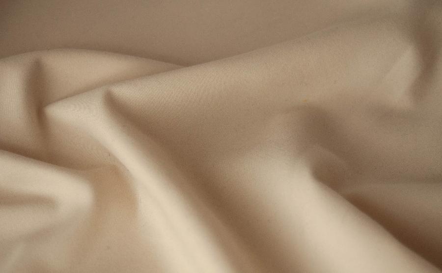 uploaded/item00205/412d2dfedecarballo211.jpg